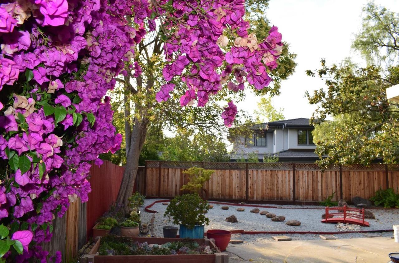 Palo Alto Quiet 1 Bedroom Stanford University ภายนอก รูปภาพ
