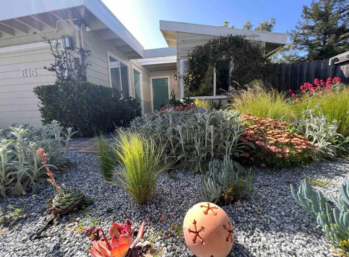 Palo Alto Quiet 1 Bedroom Stanford University ภายนอก รูปภาพ