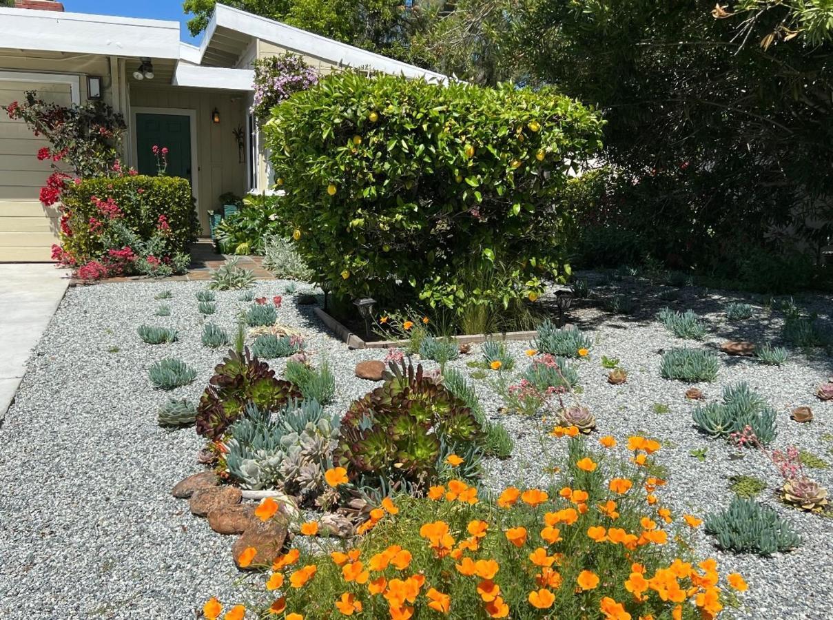 Palo Alto Quiet 1 Bedroom Stanford University ภายนอก รูปภาพ