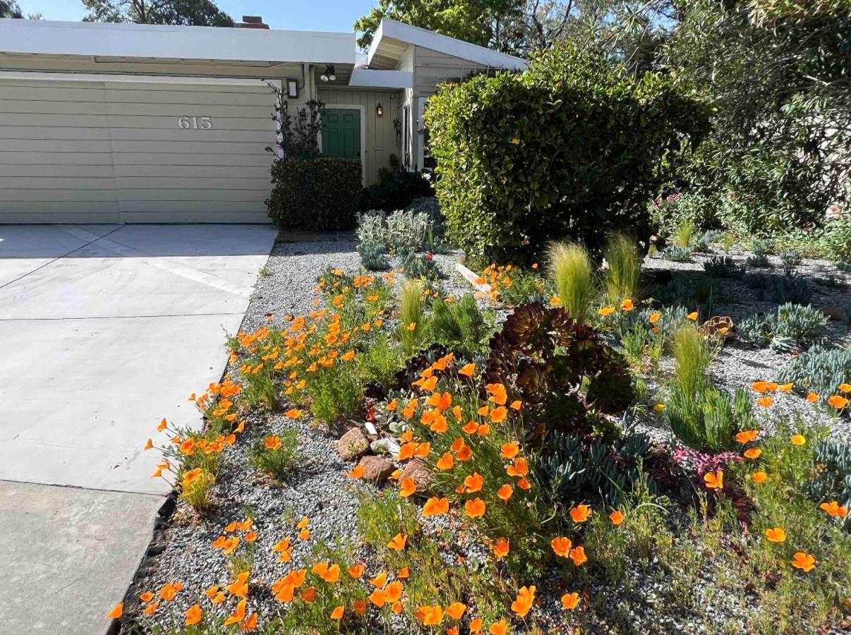 Palo Alto Quiet 1 Bedroom Stanford University ภายนอก รูปภาพ